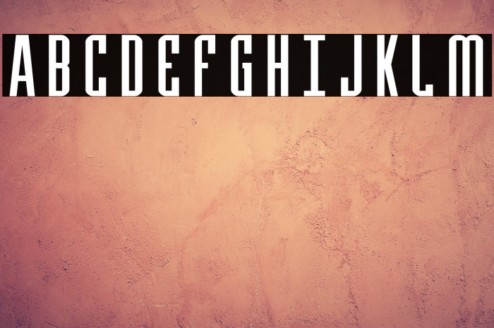 Y-Files Expanded Example 3