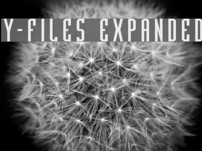 Y-Files Expanded Font examples