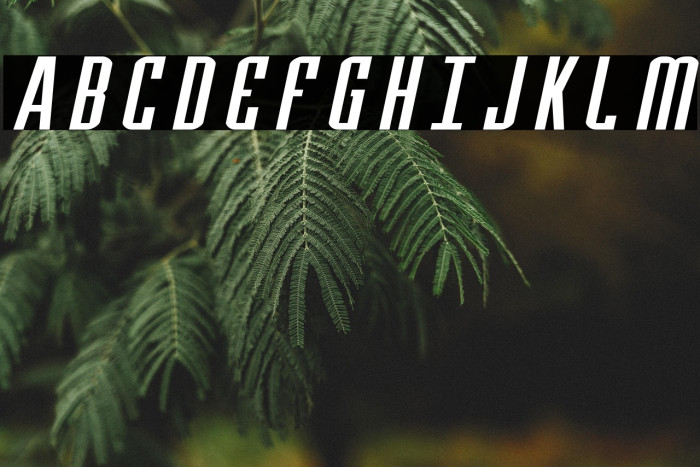 Y-Files Extra-Expanded Italic Example 3