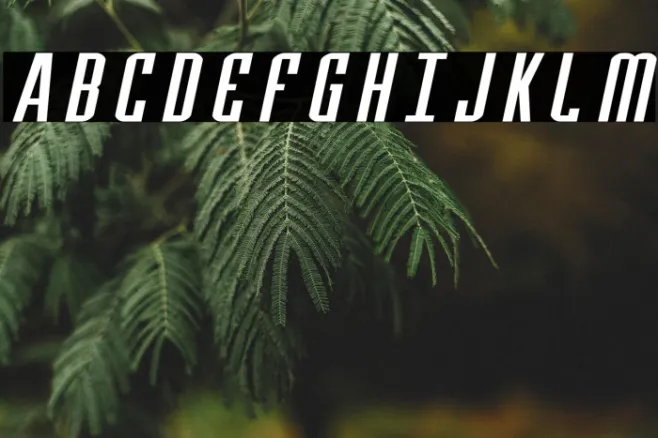 Y-Files Extra-Expanded Italic Example 3