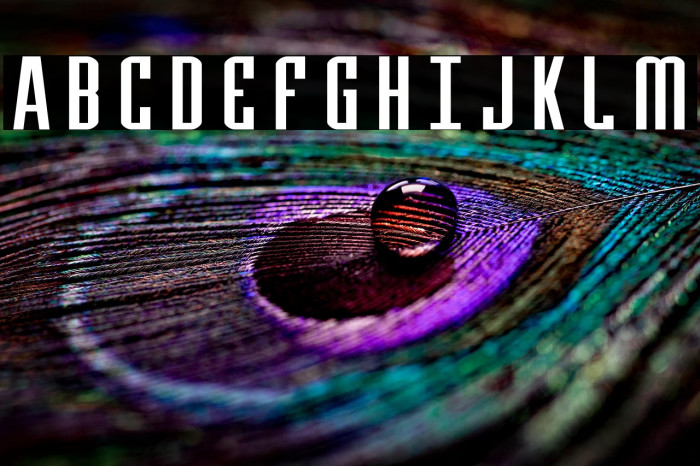 Y-Files Extra-Expanded Example 1