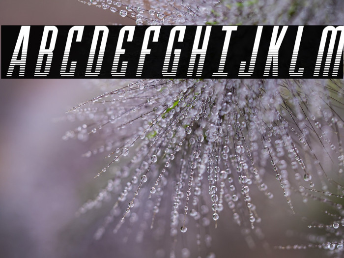 Y-Files Halftone Italic Example 2