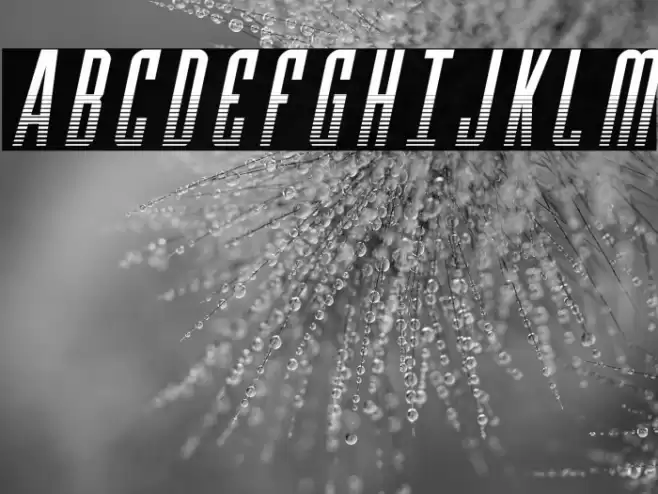 Y-Files Halftone Italic Шрифта examples