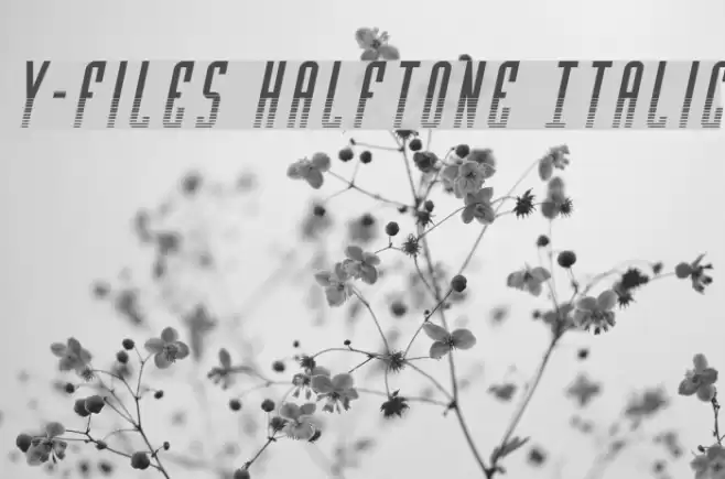Y-Files Halftone Italic Шрифта examples