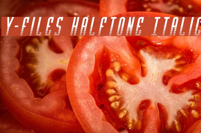 Y-Files Halftone Italic Шрифта examples