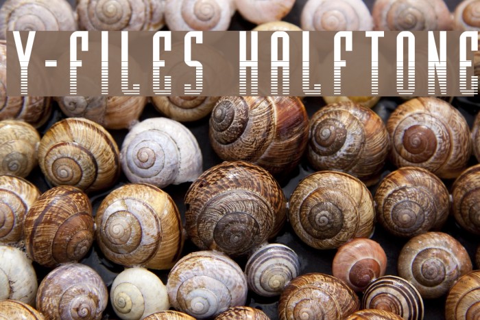 Y-Files Halftone Font examples