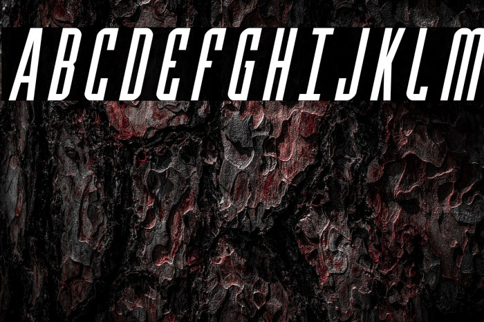 Y-Files Italic Example 1