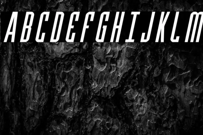 Y-Files Italic Шрифта examples