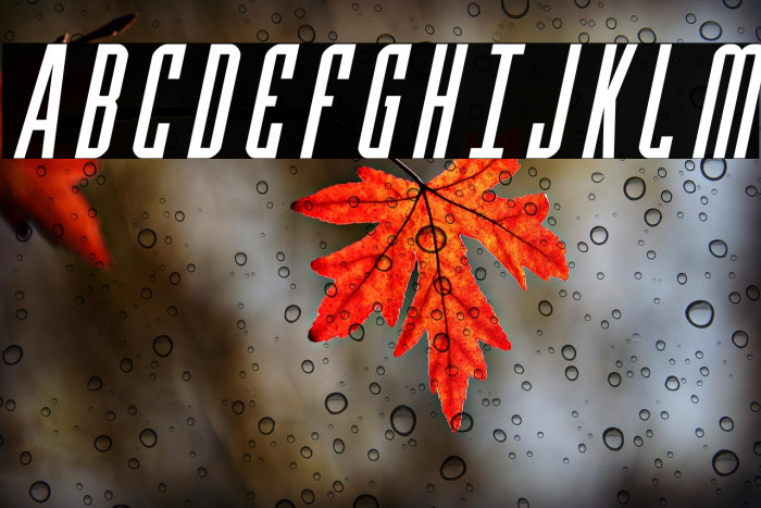 Y-Files Italic Example 2