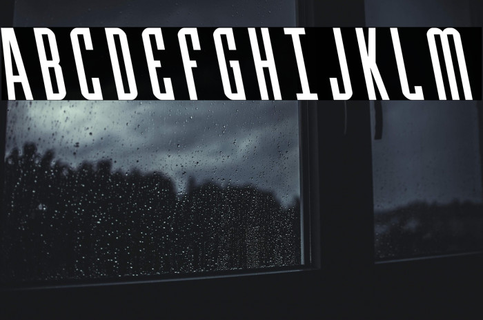 Y-Files Leftalic Example 2