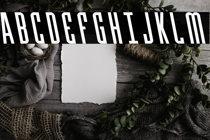 Y-Files Leftalic Example 3