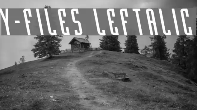 Y-Files Leftalic Font examples