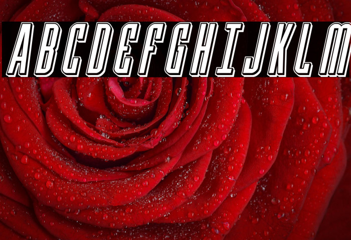 Y-Files Punch Italic Example 3