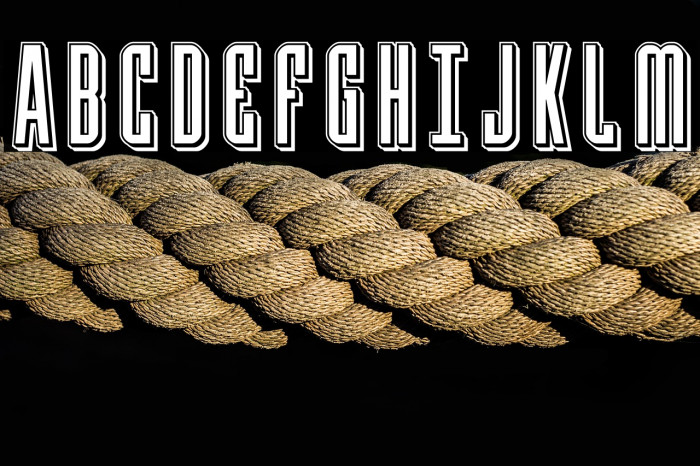 Y-Files Punch Example 2