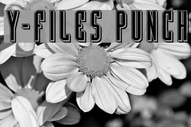 Y-Files Punch Font examples