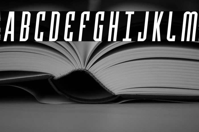 Y-Files Semi-Italic Example 2