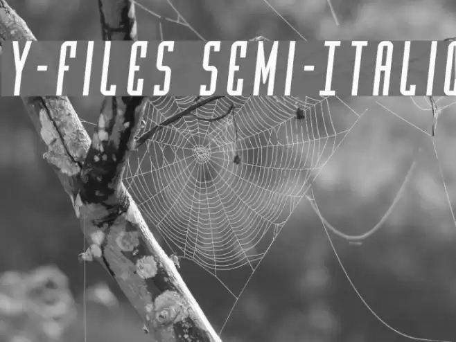 Y-Files Semi-Italic Font examples