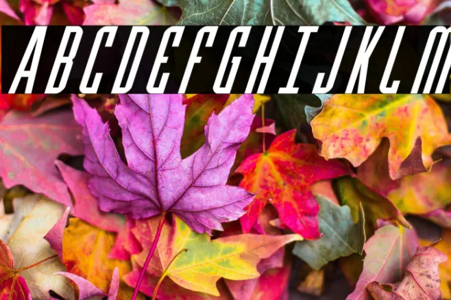 Y-Files Super-Italic Example 3