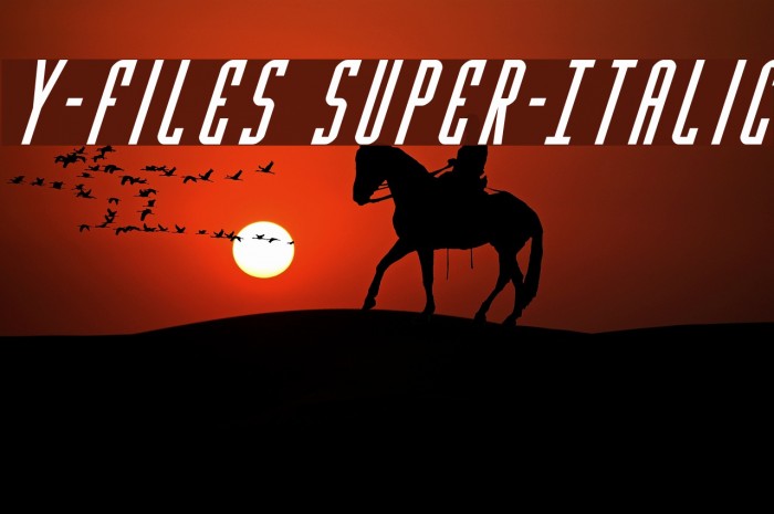 Y-Files Super-Italic फ़ॉन्ट examples