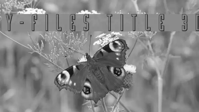 Y-Files Title 3D फ़ॉन्ट examples