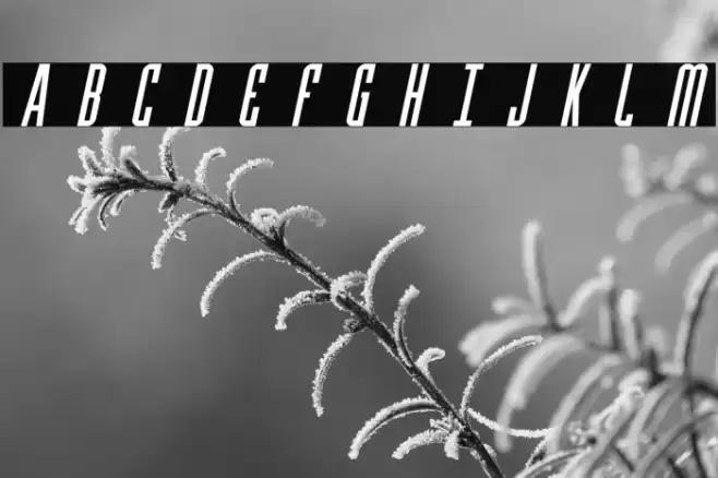 Y-Files Title Italic Font examples