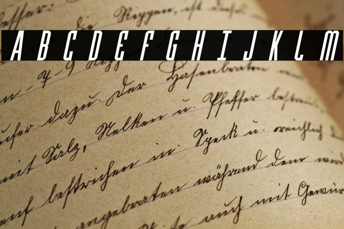 Y-Files Title Italic Example 2