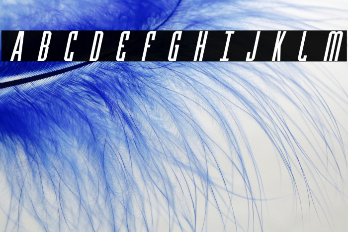 Y-Files Title Italic Example 3