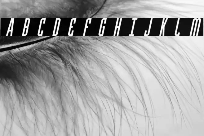 Y-Files Title Italic Font examples