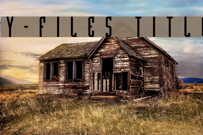 Y-Files Title Schriftart examples