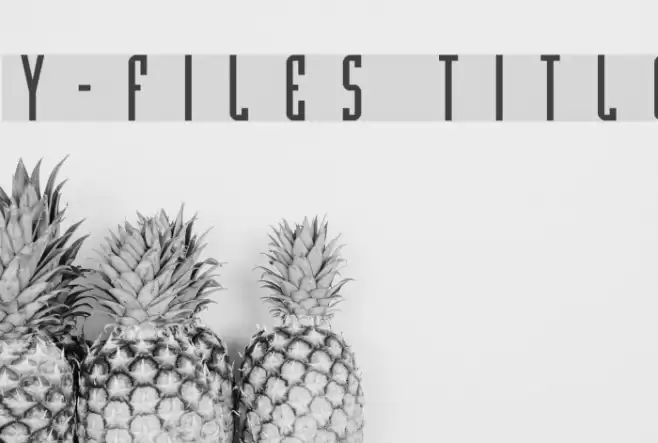 Y-Files Title Шрифта examples