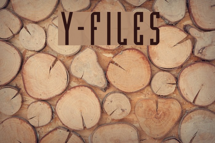 Y files