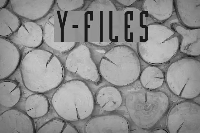 Y-Files Polices examples