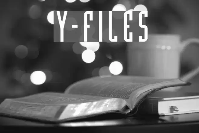 Y-Files Polices examples