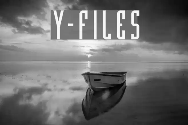 Y-Files Polices examples