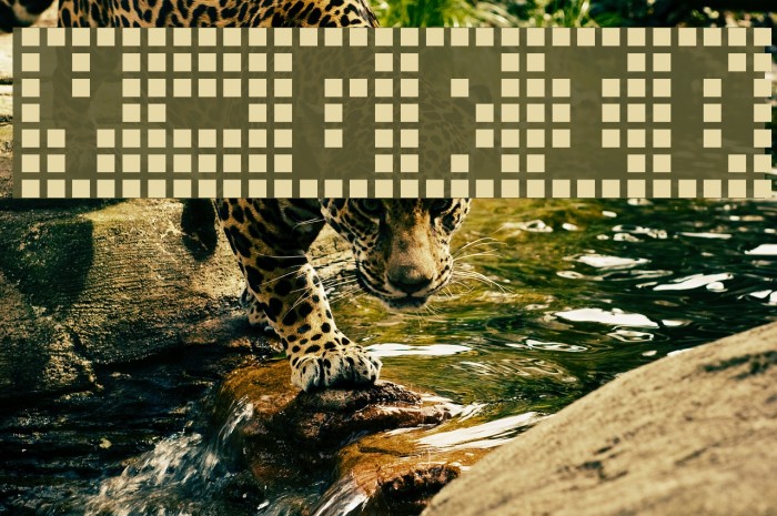 Y-Grid Font examples