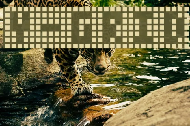 Y-Grid Example 1