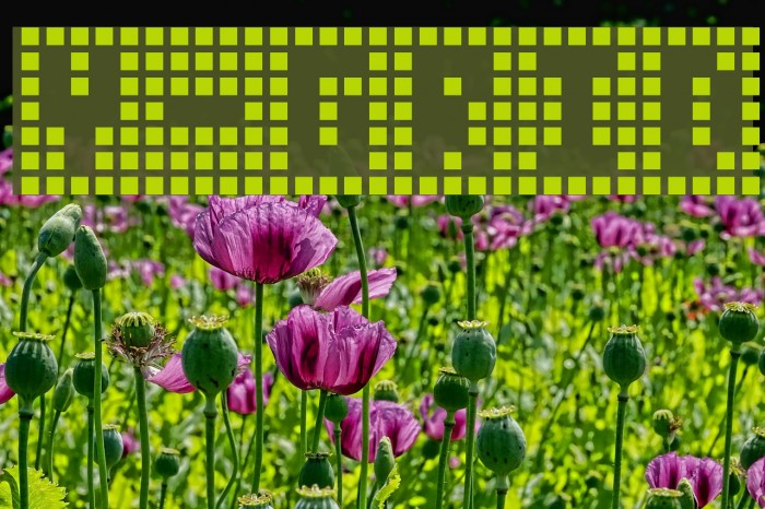 Y-Grid Font examples