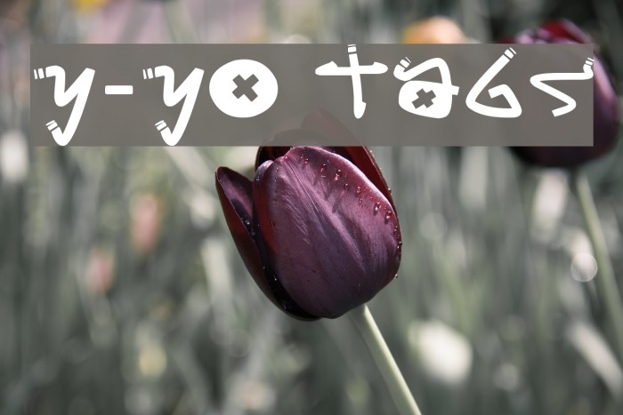 Y-Yo Tags Font examples