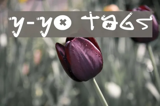 Y-Yo Tags Example 1