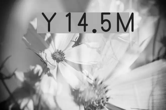 Y14.5M Font examples