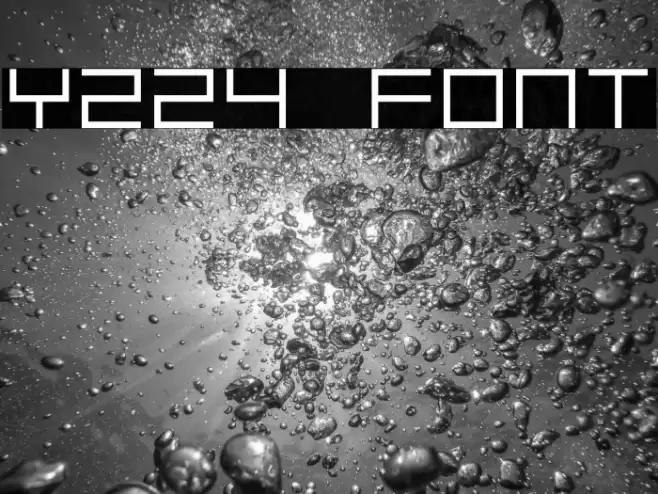 Y224 Font examples