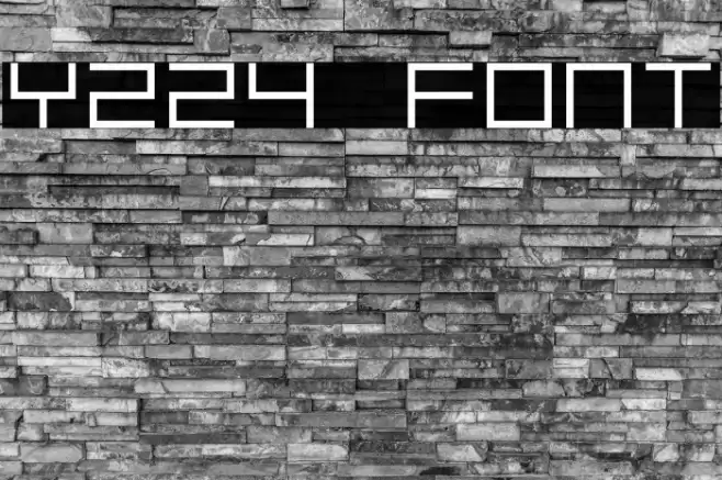 Y224 Font examples