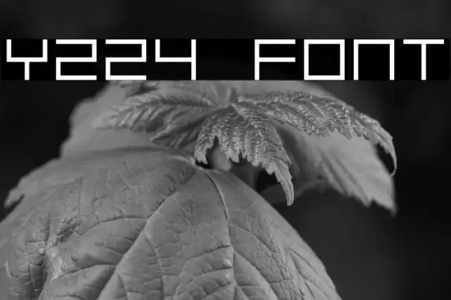 Y224 Font examples
