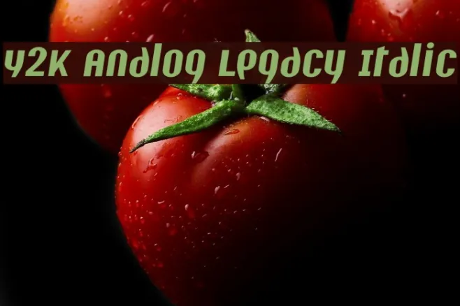 Y2K Analog Legacy Italic Example 1