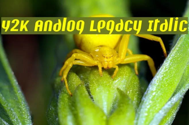 Y2K Analog Legacy Italic Example 3