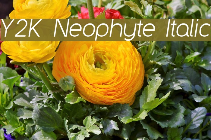Y2K Neophyte Italic Font examples