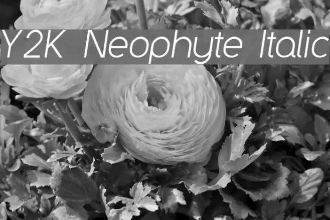 Y2K Neophyte Italic Шрифта examples
