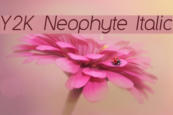 Y2K Neophyte Italic Font examples
