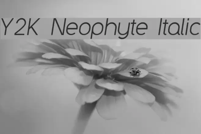Y2K Neophyte Italic Шрифта examples