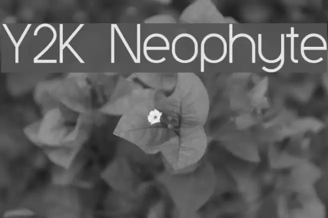 Y2K Neophyte Font examples